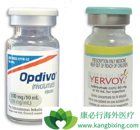 CTLA-4抑制剂 CTLA-4抑制剂