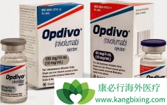 䵥(opdivo)ķɸƺɫתƻ߲
