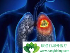 ���ô������(Dacomitinib)�Ļ���Ӧ���˽�������ص�