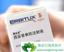 ��������������Nivolumab��ת����״ϸ������һ������Ч