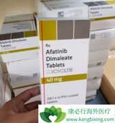 ��������(AFATINIB)��һ������ҩ�Ĳ�ͬ����ʲô��