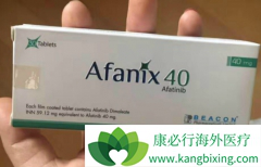 ��������(GILOTRIF)�Էΰ���ת�ƻ���Ч����ô��