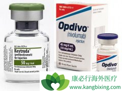 䵥(opdivo)Щΰߣйۼģ