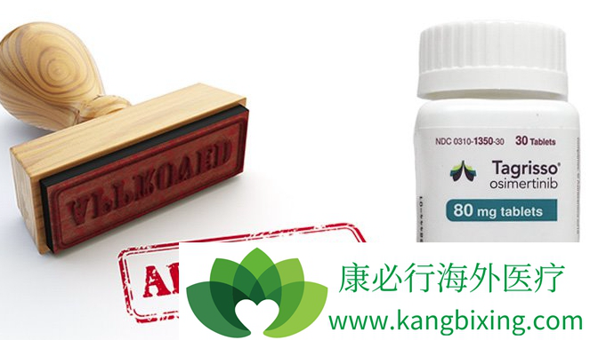 EGFR-TKI