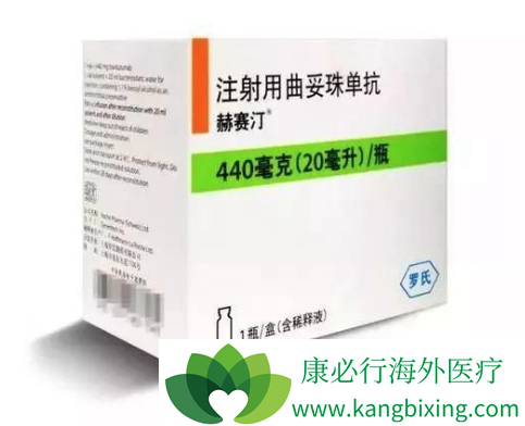 T-DM1