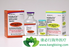 ŵCTLA-4ĴҩYervoyipilumumab