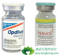 PD-1ƼCTLA-4ƼĿǰְ֢Ʒ