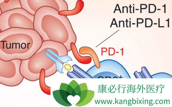 PD-1