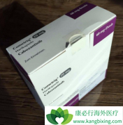 ҩ￨(Cabozantinib)ĸô