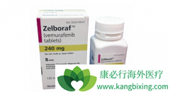 Vemurafenib޷ᣩƷСϸΰߵЧô