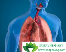ALKƼ(Brigatinib)תЧȿ