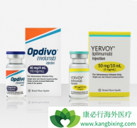 PD-1OpdivoYervoyЧ