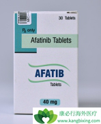 (AFATINIB)ưеЩΰͣ