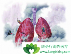 SavolitinibϰϣEGFR+MET+ΰЧϲ