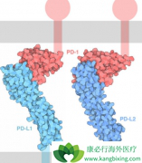 ΰEGFRͻȺʹPD1/PD-1ƼӦʵ͵ԭЩ