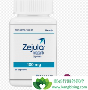 ѳ߷(Zejula)ǰҪ