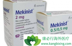 ߷(Mekinist)˻ô