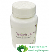 ��������(lapatinib)�������ӳ�����6�������ϵ�������