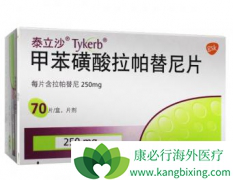 ��������(Tykerb)�����඾�Եõ���������������ҩ��