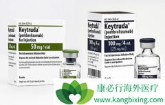 ��ķ����/Kҩ�����ϻ���������ΪNSCLC���ߵ�һ�����Ʒ���