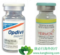 PD-1����ҩ��Opdivo����Yervoy�ڶ����֢�������м�Ч