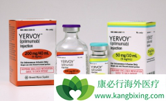 Opdivo����Yervoy����Ŀǰ���������������ߵ�������
