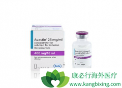 ����Ѫ���������Ƽ��Ĵ���ҩ���б����鵥����