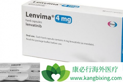 �ַ�����/�������ڶ����ٴ������еı�����Σ�