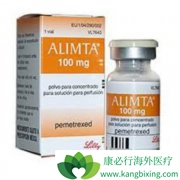 鵥Ψһ(Alimta)ʹõĿPD-1Ʒ