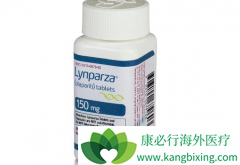 PARP���Ƽ����������ܷ�����ǰ���ٰ������ƣ�