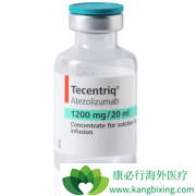 ����PD-L1�������ϻ�������Сϸ���ΰ�����Ч���ڵ�������