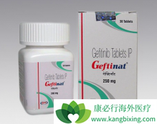 ��һ��EGFR����ҩ��ҩ�����ڷ�Сϸ���ΰ�����Ӧ����ô���ƣ�