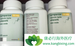 �ѳ���һ�߻��ƺ��ά�����ƿ���ʹ��PARP���Ƽ���������