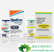 PD-1����Opdivo/OҩĿǰ�ڹ��������������Сϸ���ΰ�����