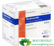 ε(Budesonide)ҺΪϸ֢ṩһƷ