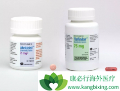 BRAFͻ��Ķ��Ժ�ɫ��������ʹ�ô�����������������������