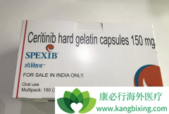 ɫ������(Zykadia)��ҩ�����������������ε�����ҩ������