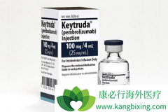 �������鵥�����Ͽ�����ɼ������һ�����Ʒ�Сϸ���ΰ�