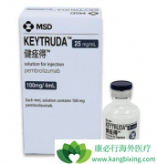 �������鵥����Ŀǰ��Сϸ���ΰ����ߵ��Ƽ�ʹ�õ�PD-1����