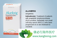 ȫ��ALK���Ƽ�Brigatinib��Ϊһ���Ʒ�������Ч�����ڿ�������