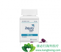 Zejula��PD-1����������ҩ���Ʒ�Сϸ���ΰ����ߵ��о���չ