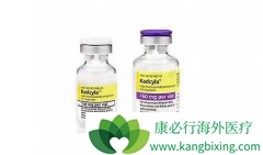 T-DM1���� HER-2 ����ת�������ٰ����о���״