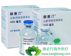 �����鵥��/����͡�ǵ�һ���ڹ������е�HER2����ҩ��