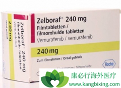 ���޷���(Zelboraf)˵�����е���ҩָ���������ģ�