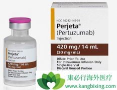 HER2�������Ե����ٰ����߿�ʹ�������鵥������