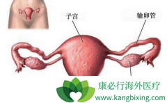 �ѳ���Ƥ������������Դ���ӹ���Ĥ��λ