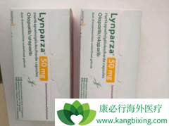 PARP���Ƽ���������һ��ά������ʱ�б�Ҫ����HRD�����