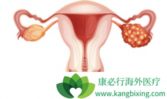 �ѳ���ά�����ƻ���ѡ�����鵥�����ǰ�������