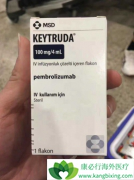 ��ķ����(Keytruda)�����ƶ������͵ķΰ������Ҳ���PD-L1����Ӱ��