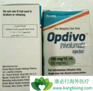 ���䵥��(Opdivo)������·��Ƥ��Ч����ô��